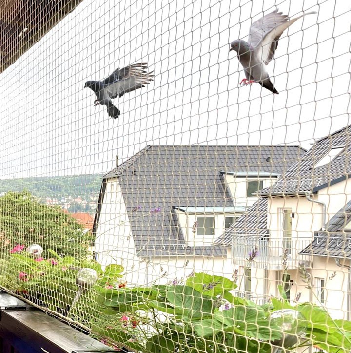Pigeon nets